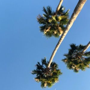 Meet your Posher, Gabriella